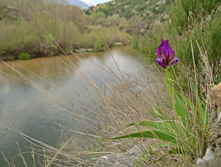 nestos-canyon-03