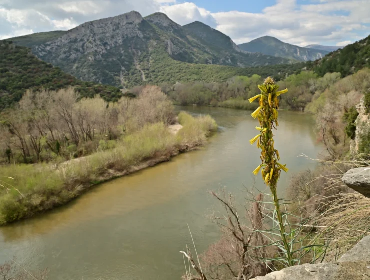nestos-canyon-05