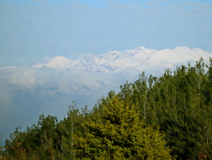 DSC_7011_j