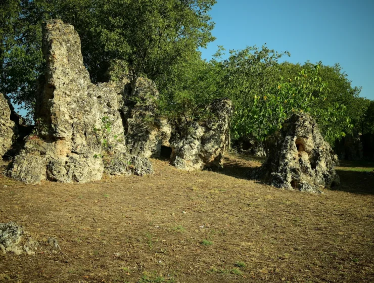 kulturalis_latnivalok_geological demonstration site, geyser cones in the area of ​​nyphopetres, greece