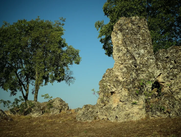 kulturalis_latnivalok_geyser cone and a tree in the area of ​​nyphopetres, greece, a mystical mythological site, 16 9 horizontal image
