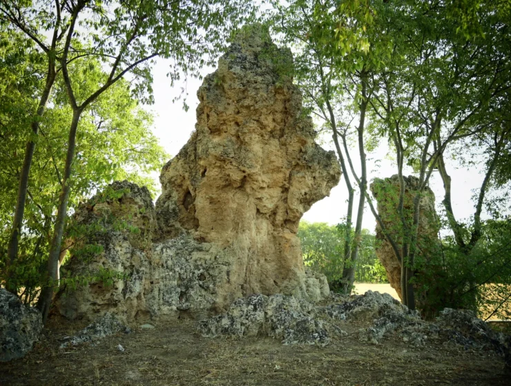 kulturalis_latnivalok_geyser cone between trees in the area of ​​nyphopetres, greece, a mystical mythological site