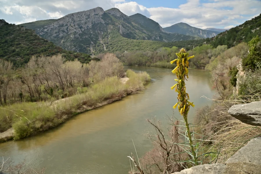 nestos-canyon-05